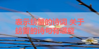表示螃蟹的诗词 关于螃蟹的诗句有哪些