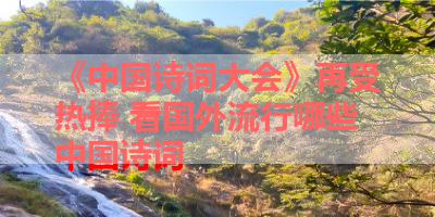 《中国诗词大会》再受热捧 看国外流行哪些中国诗词 