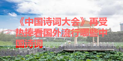 《中国诗词大会》再受热捧看国外流行哪些中国诗词 