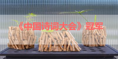 《中国诗词大会》冠军 