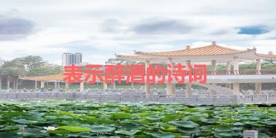表示醉酒的诗词 