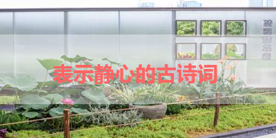 表示静心的古诗词 