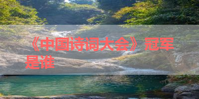 《中国诗词大会》冠军是谁 