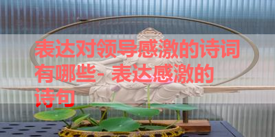 表达对领导感激的诗词有哪些- 表达感激的诗句