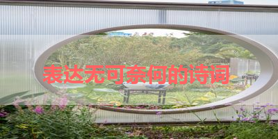 表达无可奈何的诗词 