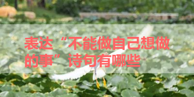 表达“不能做自己想做的事”诗句有哪些 