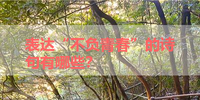 表达“不负青春”的诗句有哪些？ 