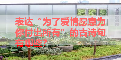 表达“为了爱情愿意为你付出所有”的古诗句有哪些？ 
