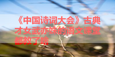 《中国诗词大会》古典才女武亦姝的语文课堂都教了啥 