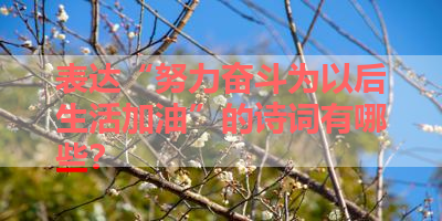 表达“努力奋斗为以后生活加油”的诗词有哪些？ 