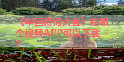 《中国诗词大会》在哪个视频APP可以下载？ 