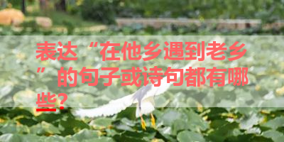 表达“在他乡遇到老乡”的句子或诗句都有哪些？ 