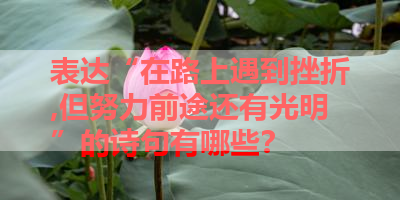 表达“在路上遇到挫折,但努力前途还有光明”的诗句有哪些？ 