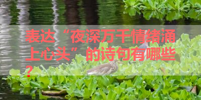 表达“夜深万千情绪涌上心头”的诗句有哪些？ 