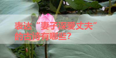 表达“妻子深爱丈夫”的古诗有哪些？ 