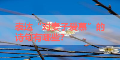 表达“对妻子爱慕”的诗句有哪些？ 