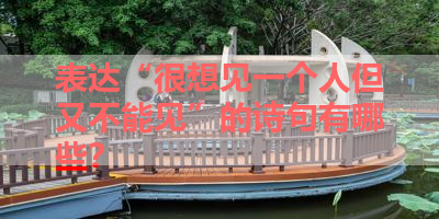 表达“很想见一个人但又不能见”的诗句有哪些？ 