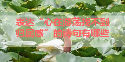 表达“心在游荡找不到归属感”的诗句有哪些 