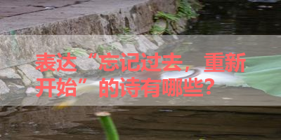 表达“忘记过去，重新开始”的诗有哪些？ 