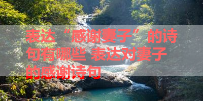 表达“感谢妻子”的诗句有哪些 表达对妻子的感谢诗句