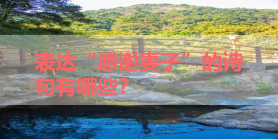 表达“感谢妻子”的诗句有哪些？ 
