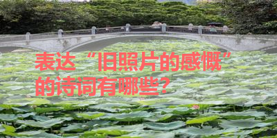 表达“旧照片的感慨”的诗词有哪些？ 