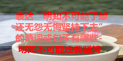 表达“明知不可能了却还无怨无悔坚持下去”的诗词或句子有哪些- 明知不可能还要坚持