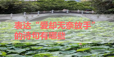 表达“爱却无奈放手”的诗句有哪些 