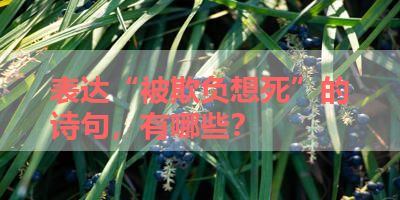 表达“被欺负想死”的诗句，有哪些？ 