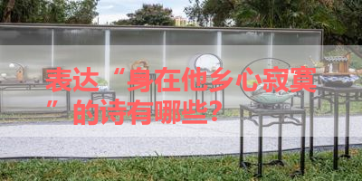 表达“身在他乡心寂寞”的诗有哪些？ 
