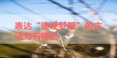 表达“追逐梦想”的古诗句有哪些 