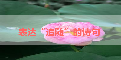 表达“追随”的诗句 