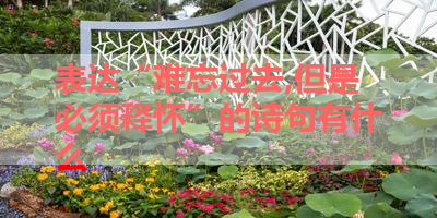 表达“难忘过去,但是必须释怀”的诗句有什么 