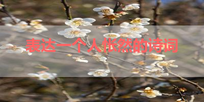 表达一个人怅然的诗词 