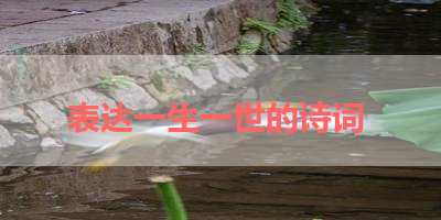 表达一生一世的诗词 