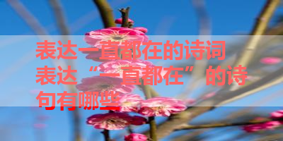表达一直都在的诗词 表达“一直都在”的诗句有哪些 
