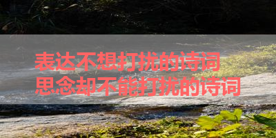 表达不想打扰的诗词 思念却不能打扰的诗词