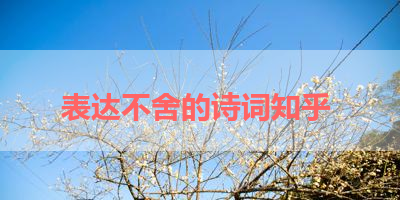 表达不舍的诗词知乎 