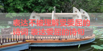 表达不被理解受委屈的诗词 表达委屈的诗句