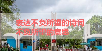 表达不负所望的诗词 不负所望的意思