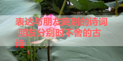 表达与朋友离别的诗词 朋友分别时不舍的古诗