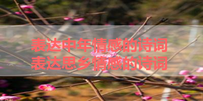 表达中年情感的诗词 表达思乡情感的诗词
