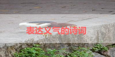 表达义气的诗词 
