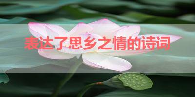 表达了思乡之情的诗词 