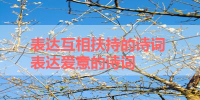 表达互相扶持的诗词 表达爱意的诗词