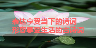 表达享受当下的诗词 形容享受生活的古诗词
