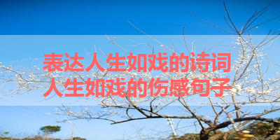 表达人生如戏的诗词 人生如戏的伤感句子