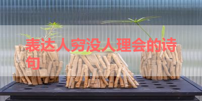 表达人穷没人理会的诗句 