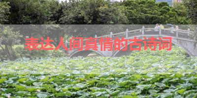 表达人间真情的古诗词 