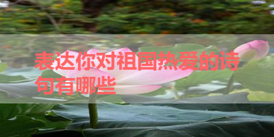 表达你对祖国热爱的诗句有哪些 